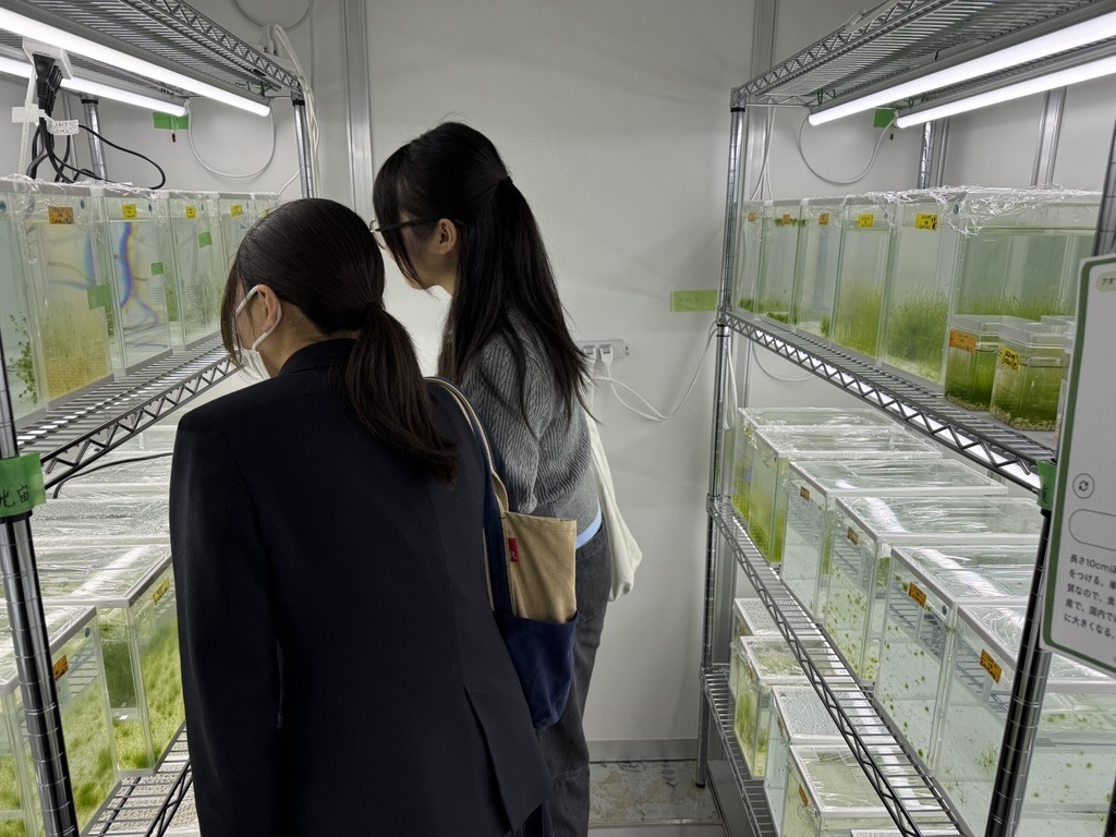 Image - 2026-03-30T112349.611